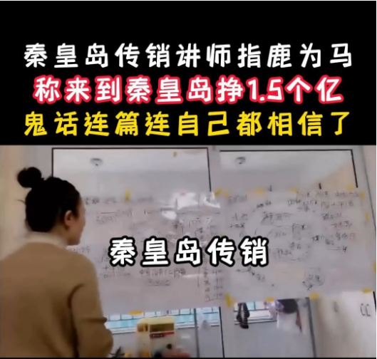 河北中绿平债传销骗局：我的亲身经历与血泪教训