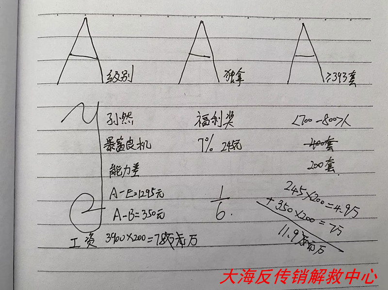 ​​洛伊美”传销组织在陕西西安、临潼、咸阳的概况